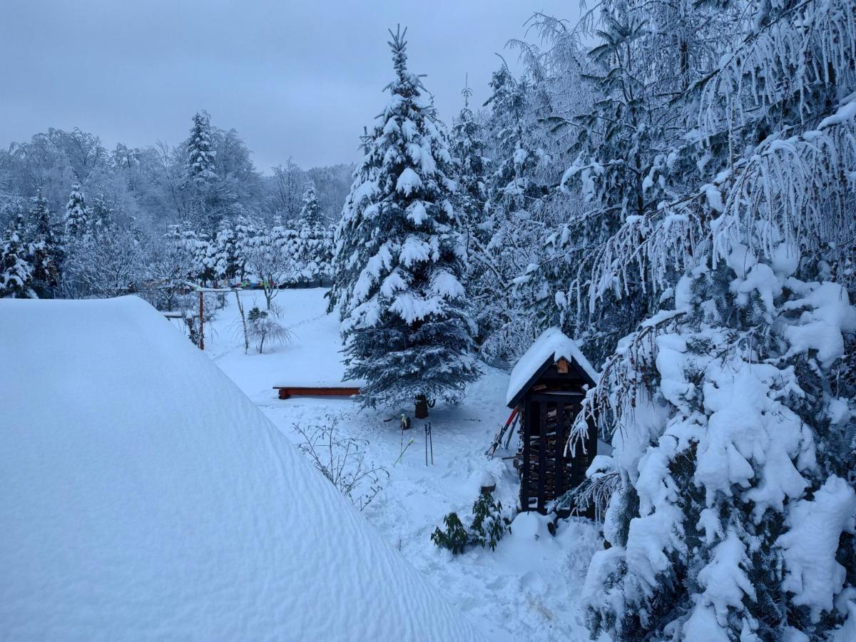 Beskidzka Ostoja Koszarawa Exterior foto